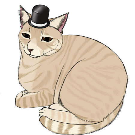 A short-haired cream mackerel tabby with bronze eyes in a half-loaf wearing a tophat.